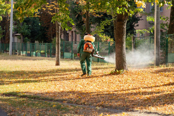 Wildlife Control Services in Ellington, MO